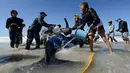Tim penyelamat dan sukarelawan mengguyur tubuh paus pembunuh saat proses evakuasi ke laut, di pantai Mar Chiquita, Argentina, Senin (16/9/2019). Sebanyak enam dari tujuh paus pembunuh yang ditemukan terdampar berhasil dikembalikan ke laut, tetapi satu di antara mereka mati. (AP/Marina Devo)