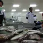 Pegawai Perum Perikanan Indonesia (Perindo) Unit Natuna, Kepulauan Riau, tengah mengolah ikan hasil tangkapan nelayan lokal.