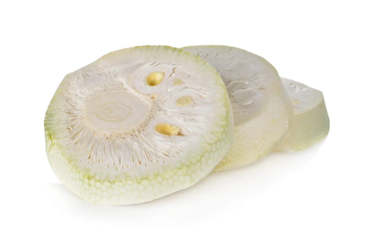 nangka muda
