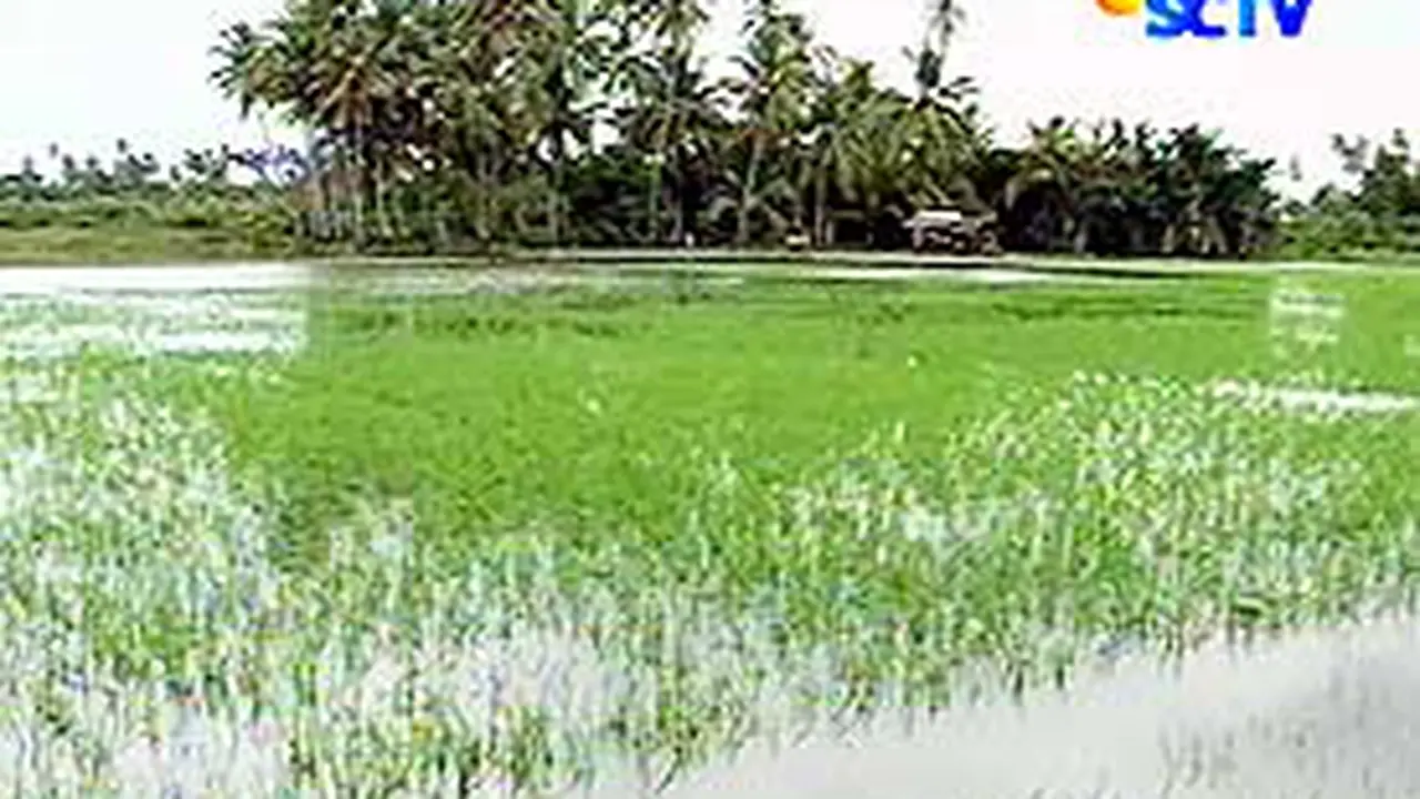 250306cbanjir.jpg