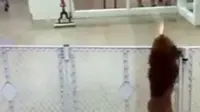 Video Lucu Anjing Joget Sambil Berdiri