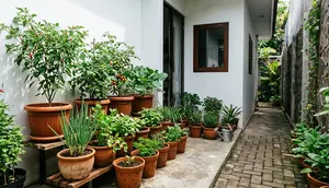 7 Inspirasi Sudut Hijau di Samping Rumah yang Sempit agar Terasa Sejuk dan Produktif