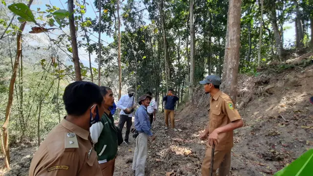 Kabupaten Kuningan sangat pontensial dalam pengembangan tanaman porang. Porang yang dalam bahasa lokal di kuningan dikenal dengan Badul.