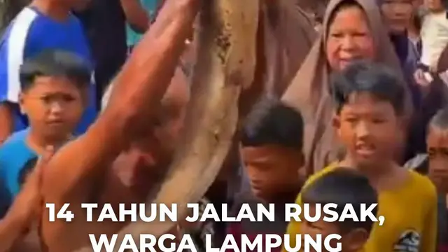 14 Tahun Jalan Rusak, Warga Lampung Selatan Protes dengan Tebar Lele di Aspal Berlubang