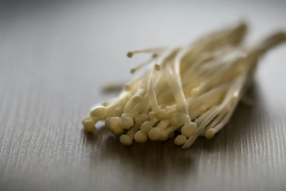 Jamur Enoki