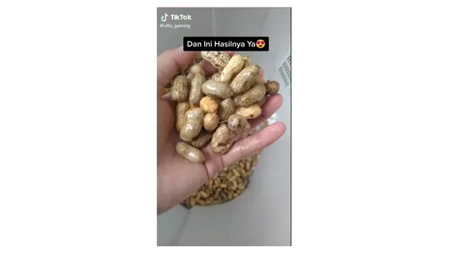 Viral Bersihkan Kacang Tanah Pakai Mesin Cuci, Bikin Geleng Kepala