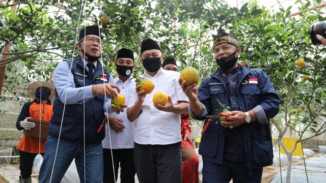 Menteri Koperasi dan UKM Teten Masduki mengunjungi Koperasi Pondok Pesantren Al Ittifaq di kawasan Ciburial, Bandung, Minggu (21/6/2020). (Dok Kemenkop)