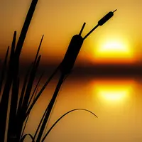 Simak 22 gambar yang dijamin bikin kamu ngerasa tenang, damai, adem, nyessss ...