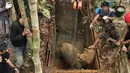 Aktivis terlihat menangani seekor Badak Sumatera langka di tempat perlindungan di Kutai, Rabu (23/3). Penampakan badak yang terlihat di wilayah bagian Kalimantan itu, menandai kemunculan pertamanya sejak 40 tahun menghilang. (Ari Wibowo/WWF-INDONESIA/AFP)