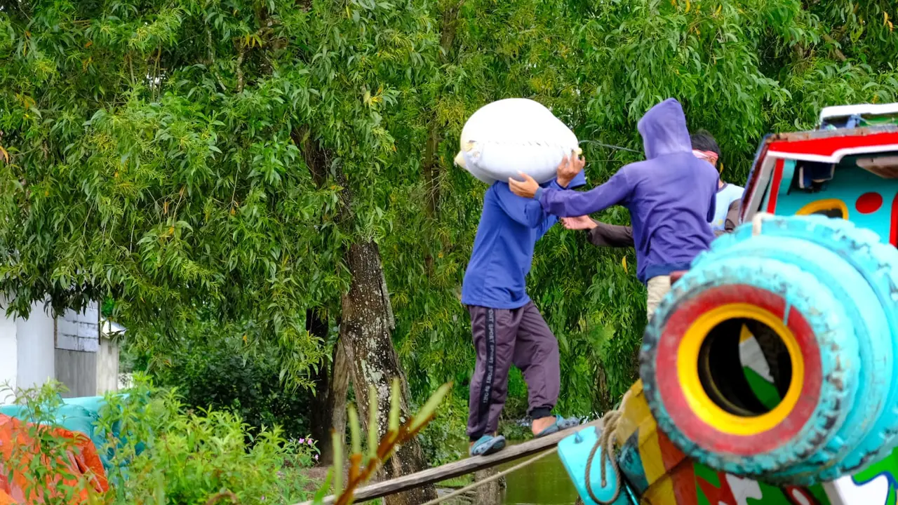 Kelompok Mitra Tani di Desa Mukti Jaya, Kecamatan Muara Telang, Banyuasin, Palembang melakukan panen raya bersama dengan PT Wilmar Padi Indonesia.