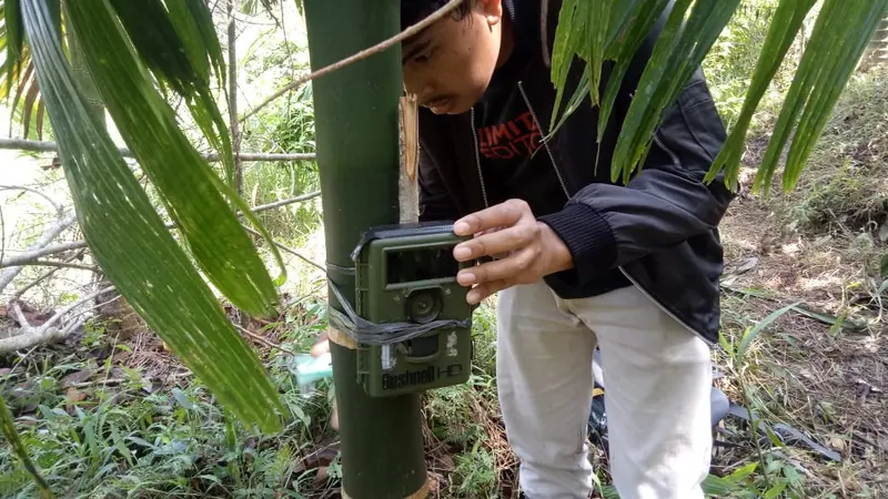 Bksda Agam memasang kamera jebak pantau satwa liar yang tinggalkan jejak di kebun warga agam. (Liputan6.com/ BKSDA Agam)