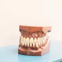 Ilustrasi Pasta Gigi Natural | unsplash.com