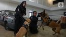 Pelatih wanita Putri Istyan dan Widiya Hutahean berpose dengan anjing K9 di Markas Komando K9 BNN, Selasa (8/3/2022). Pelatih K9 wanita menjalankan tugas yang biasa dilakukan kaum pria dalam memerangi peredaran narkoba baik jaringan internasional maupun nasional. (merdeka.com/Imam Buhori)