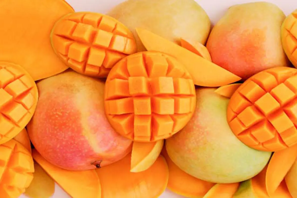 Mangga