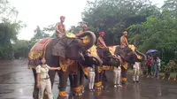 Tak hanya berdiri tegak, para gajah asal Sumatera juga ikut menghormat pada Sang Merah Putih. (Dewi Divianta)