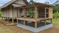 10 Desain Kandang Ayam Sederhana untuk Rumah Kecil, Anti Dimangsa Ular