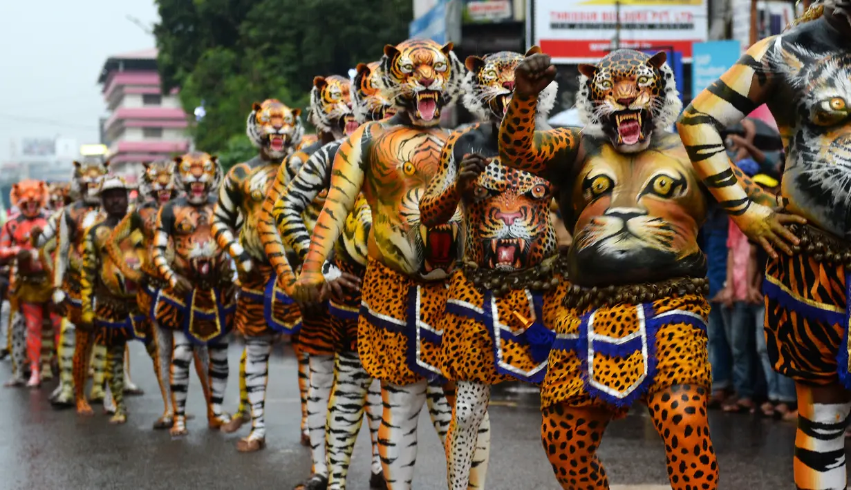 Sejumlah peserta dengan tubuh dilukis seperti harimau saat ambil bagian dalam 'Pulikali', atau tarian harimau, di Thrissur, India (7/9). Acara kesenian rakyat ini diadakan setiap tahun di kota selama festival 'Onam'. (AFP Photo/Arun Sankar)