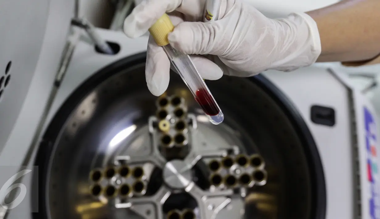 Seorang teknisi kesehatan menunjukkan tabung darah di pemutaran darah, laboratorium kesehatan, Rumah Sakit Husada, Jakarta, Rabu (08/2). Di HUT ke 92 tahun rumah sakit tersebut siapkan laboratorium tercanggih. (Fery Pradolo/Liputan6.com)
