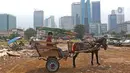 Pekerja mempersiapkan delman di kampung delman kawasan Menteng Dalam, Jakarta, Senin (27/9/2021). Para pekerja delman berharap pelonggaran PPKM membawa harapan mereka untuk kembali bekerja normal seperti biasanya. (Liputan6.com/Herman Zakharia)