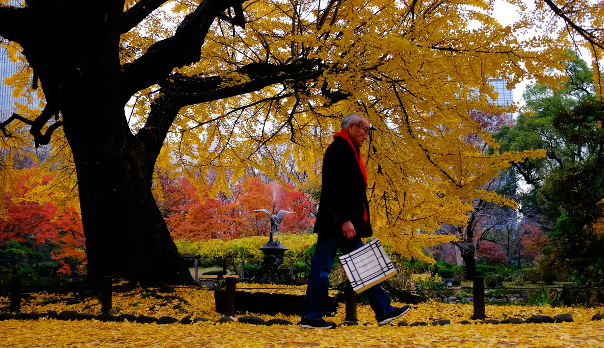 Wisatawan berjalan kaki melewati dedaunan yang gugur di Taman Hibiya, Tokyo Jepang, Selasa (10/12/2019). Tokyo memiliki banyak taman yang dapat didatangi untuk menyaksikan daun-daun berwarna yang cantik. (AP Photo/Kiichiro Sato)