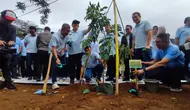 Menteri Lingkungan Hidup (LH) Hanif Faisol Nurofiq menanam pohon di area Puncak, Bogor. (detikai.com/Achmad Sudarno)