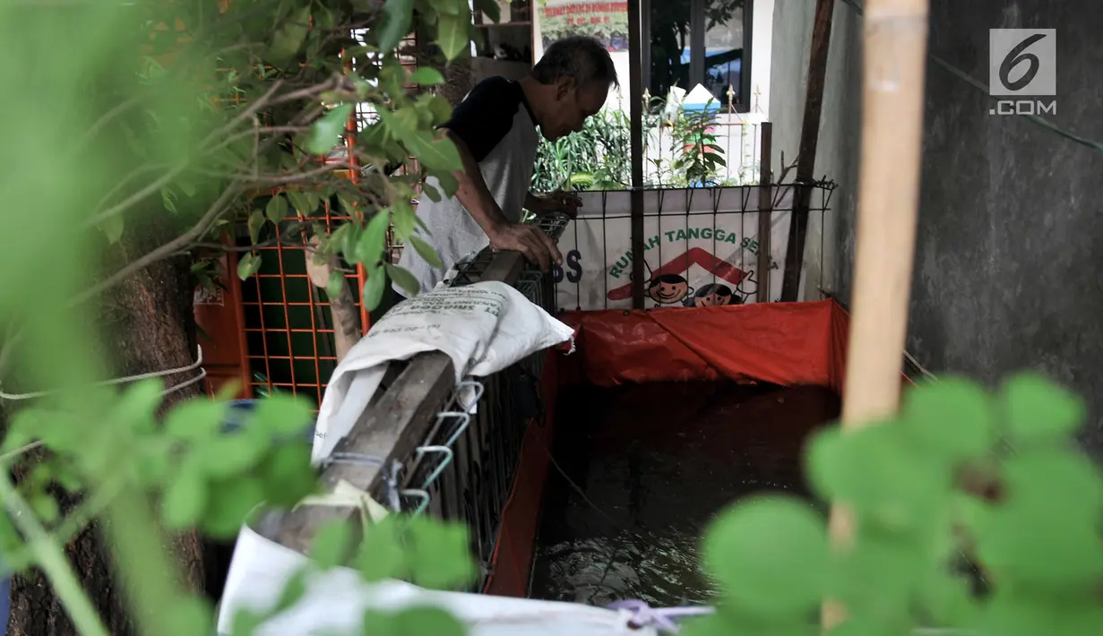 Warga merawat kolam ikan di Program Kampung Iklim (Proklim) RW 01, Sunter Jaya, Jakarta, Kamis (7/2). Pemkot Jakut menjadikan kawasan ini sebagai kampung contoh yang akan diterapkan di 31 kelurahan di Jakut. (Merdeka.com/Iqbal S. Nugroho)