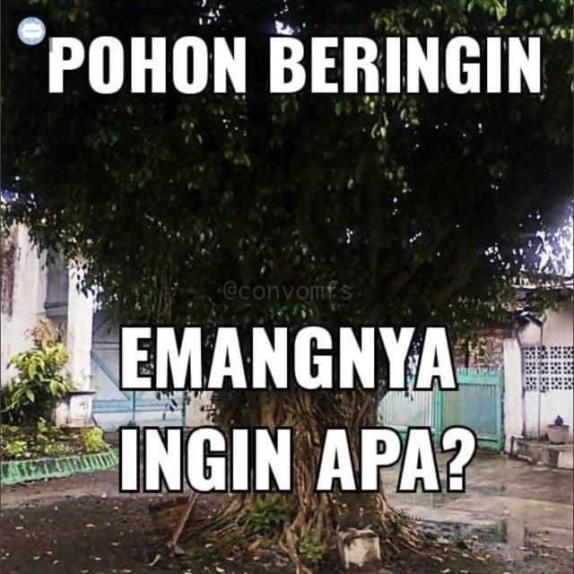 6 Meme Pertanyaan Lucu dari Kata Familiar Ini Bikin Bertanya-Tanya