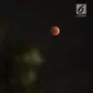 Gerhana bulan "super blue blood moon" terlihat di atas langit Jakarta, Rabu (31/1). Gerhana bulan kali ini berbeda disebut super blue blood moon dimana jarak bulan dengan bumi sangat dekat serta memilik warna yang sangat merah (Liputan6.com/Arya Manggala)