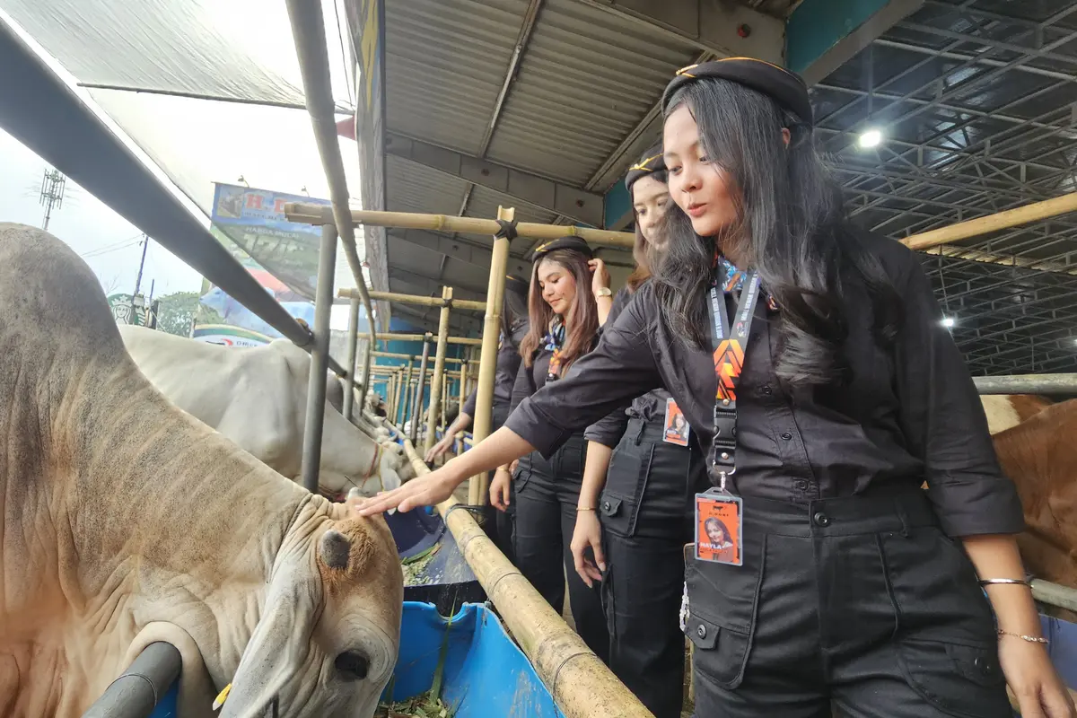 Jelang Idul Adha Pemerintah Kota Depok Lakukan Pengawasan Penyelenggaraan Hewan Kurban