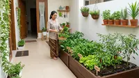 10 Ide Kebun Sederhana agar IRT Tidak Kehabisan Bahan Masakan, Wujudkan Dapur Hemat