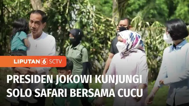 Presiden Joko Widodo mengisi cuti bersama Tahun Baru Imlek, mengajak cucu-cucunya berwisata ke Solo Safari. Destinasi wisata baru ini adalah hasil revitalisasi Taman Satwa Taru Jurug.