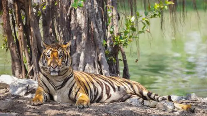 Foto: copyright shutterstock.com