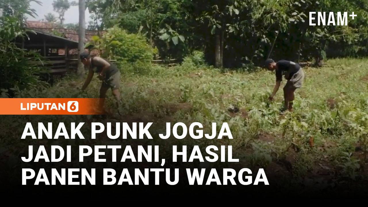 Kisah Inspiratif! Anak Punk Gunungkidul Jadi Petani, Hasil Panen Bantu Warga