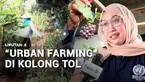 Lahan terbengkalai di bawah beton jalan tol Becakayu, Jakarta Timur, kini disulap menjadi area pertanian perkotaan atau urban farming. Ada beragam jenis sayur dan buah yang telah memberikan hasil panen bagi warga.