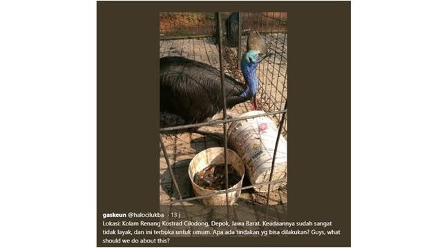 Tak Layak Huni, 4 Potret Mini Zoo Ini Bikin Miris