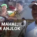 Sayur Mahal, Garam Anjlok
