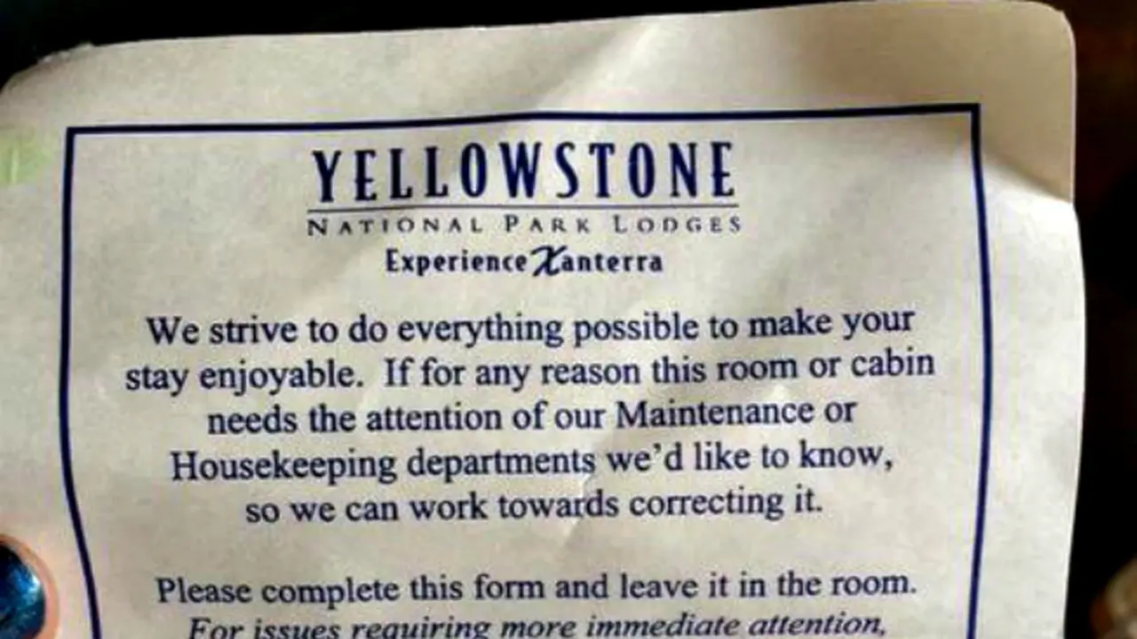 Wisatawan Yellowstone Minta Beruang Mendapatkan Pelatihan