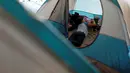 Seorang anak imigran bermain di dalam tenda tempat penampungan di Tijuana, Meksiko 6 April 2019. Rombongan migran Amerika Tengah mencapai kota perbatasan antara Meksiko dan AS tersebut  untuk mencari suaka akibat kekerasan, pembunuhan dan kemiskinan yang mengancam mereka. (REUTERS/Carlos Jasso)