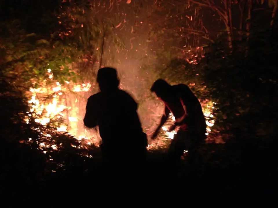 Petugas gabungan berupaya mendinginkan lahan gambut di Bengkalis, Riau, supaya baranya tidak memercikkan api lagi. (Liputan6.com/M Syukur)