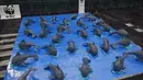 Replika dari lumba-lumba jenis Marina Vaquita dipamerkan saat aksi menuntut perlindungan spesies langka tersebut dari perburuan liar, di depan Istana Nasional di alun-alun Zocalo di Mexico City, Sabtu (8/7). (AFP/ Alfredo E)