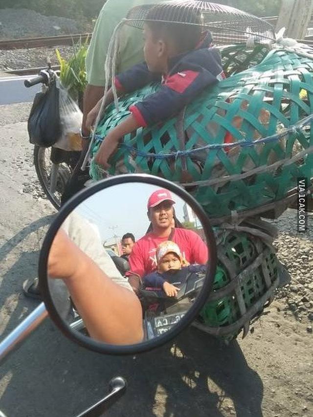 Kelakuan Kocak Orang Saat di Kandang Hewan Ini Bikin Tepuk Jidat