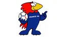 Footix adalah maskot Piala Dunia 1998. Ia seekor unggas, salah satu dari simbol nasional Perancis, dengan kata "FRANCE 98" di dada. Tubuhnya sebagian besar biru, seperti kaos seragam Perancis dan arti namanya adalah Sepak bola (Istimewa).