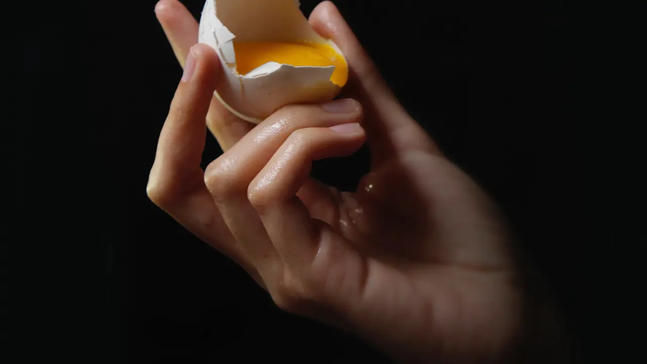 Putih Telur