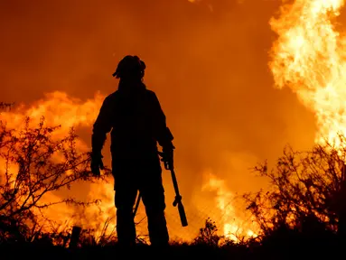 Siluet petugas pemadam kebakaran di tengah kobaran api kebakaran hutan di pinggiran Villa Carlos Paz, Argentina, Selasa (10/10/2023). Kebakaran hutan mendorong evakuasi dari Villa Carlos Paz. (AP Photo/Nicolas Aguilera)