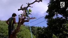 Topan Mangkhut mulai melanda Filipina. Ribuan warga mulai dievakuasi guna menghindari hal tak diinginkan. Efek topan dikhawatirkan akan membuat hujan lebat dan tanah longsor.