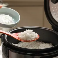 Ilustrasi nasi di magic com. (c) NewAfrica/Depositphotos.com