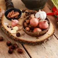 Ilustrasi rempah/copyright shuterstock