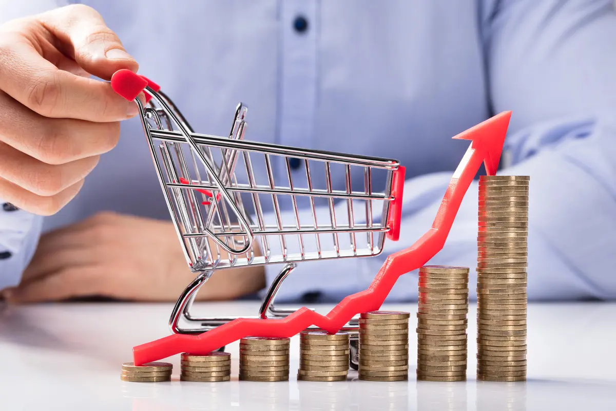 Kenaikan PPN ke 12% Jadi Langkah Moderat Pemerintah Saat Ini