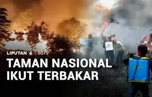 Taman Nasional Ikut Terbakar