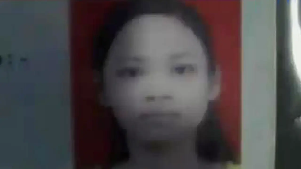 Penyaniaya Anak